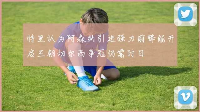 特里认为阿森纳引进强力前锋能开启王朝切尔西争冠仍需时日